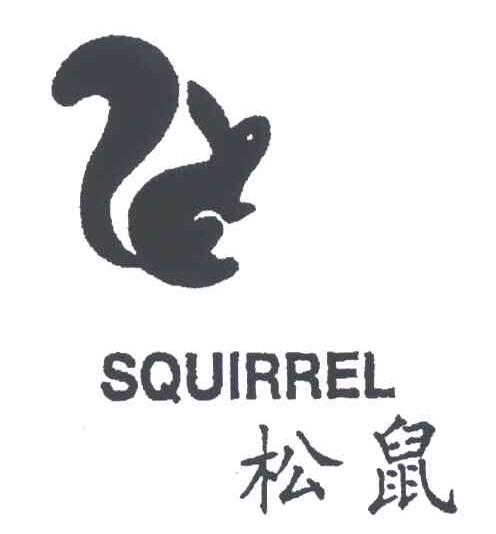 松鼠;SQUIRREL