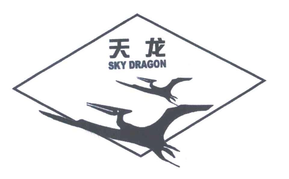 天龙;SKY DRAGON