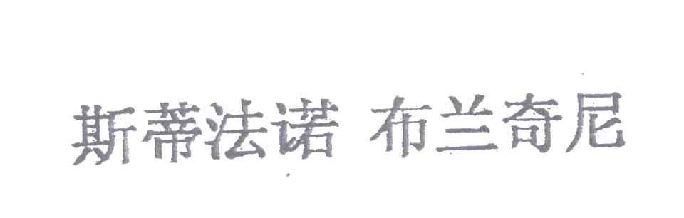 斯蒂法诺布兰奇尼