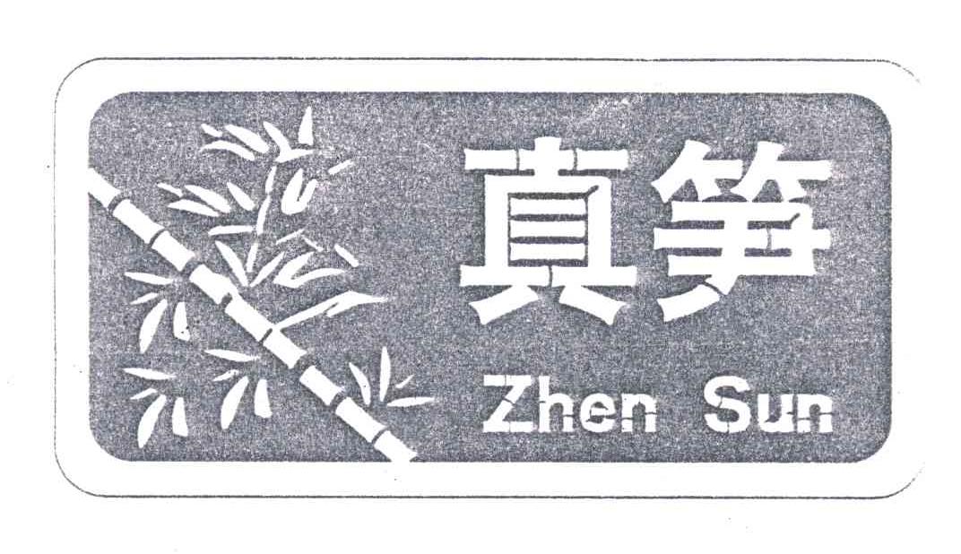 真笋;ZHEN SUN