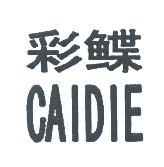 彩鲽