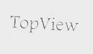TOPVIEW