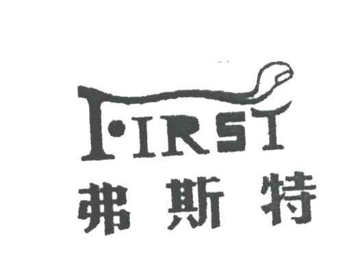 弗斯特;FIRST;F