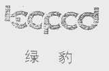 绿豹  LOOPOP