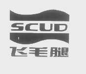 飞毛腿   SCUD