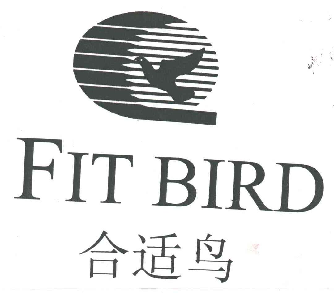 合适鸟 FIT BIRD