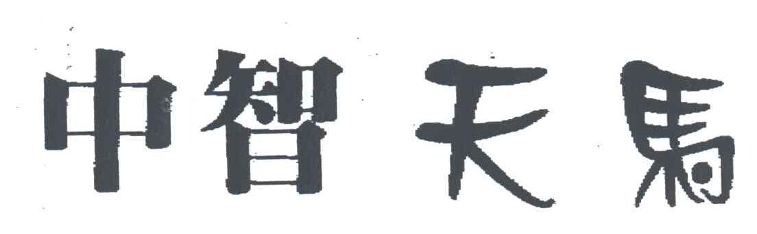 中智天马