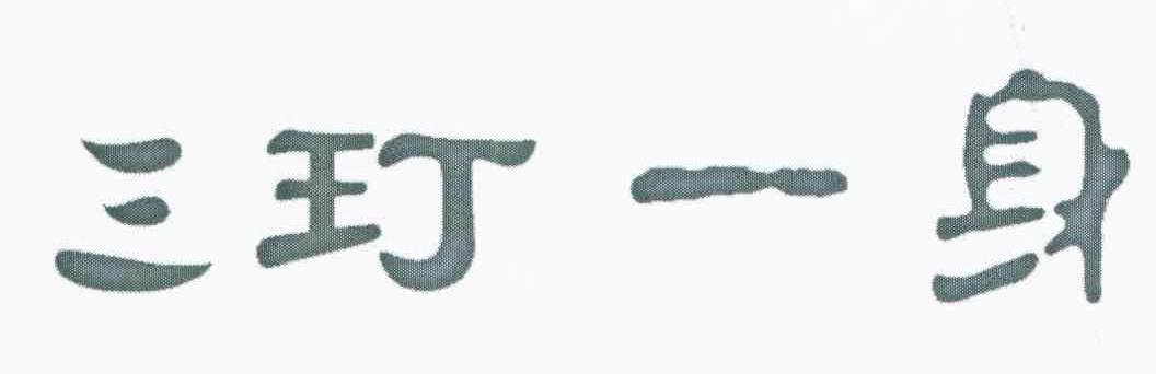 三玎一身