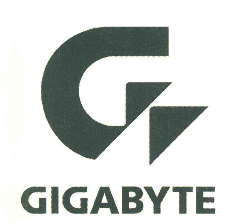 GIGABYTE G