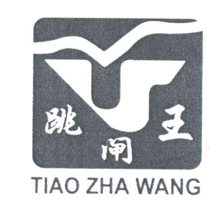 跳闸王