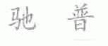 驰普