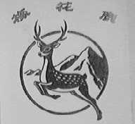 梅花鹿