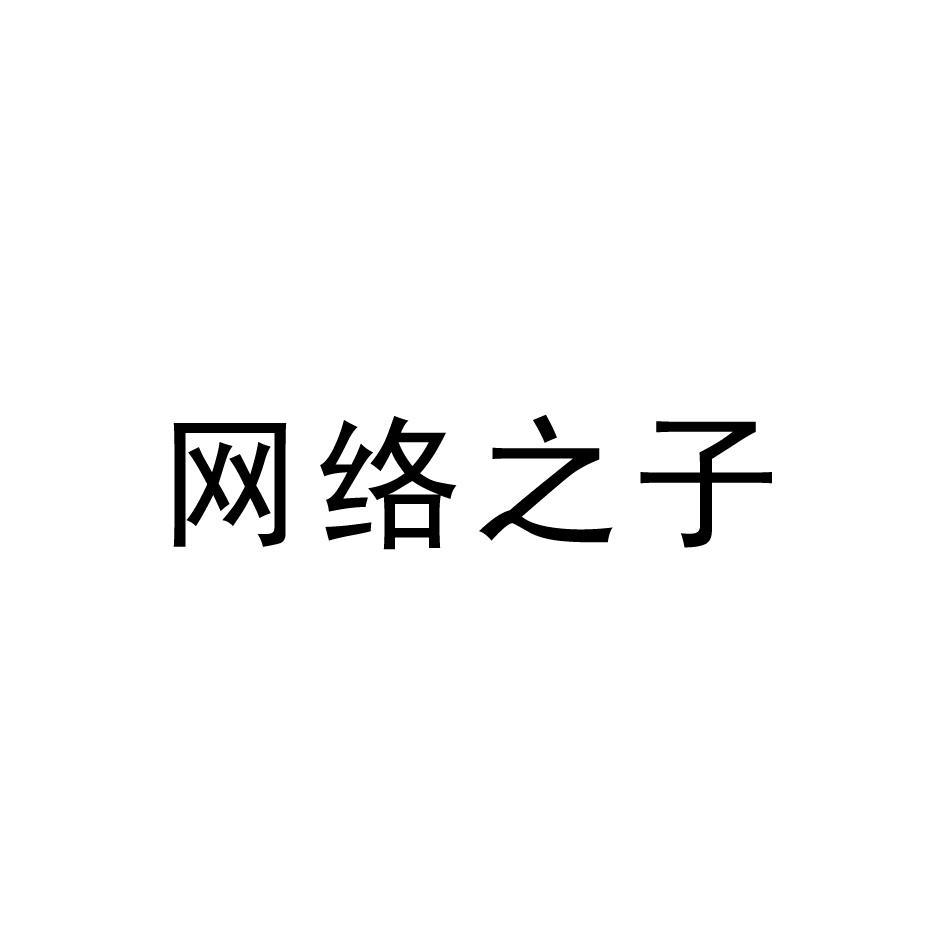 网络之子