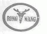 RONG WANG