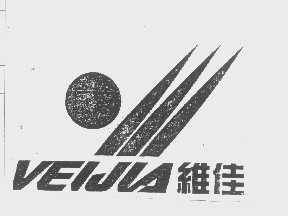 维佳   VEIJIA