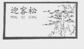 迎客松