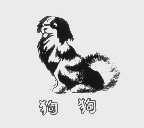狗狗