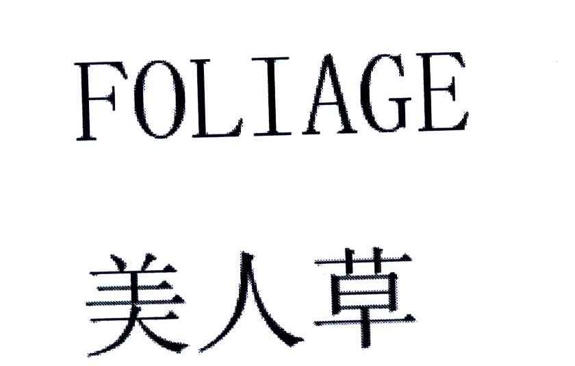 美人草;FOLIAGE