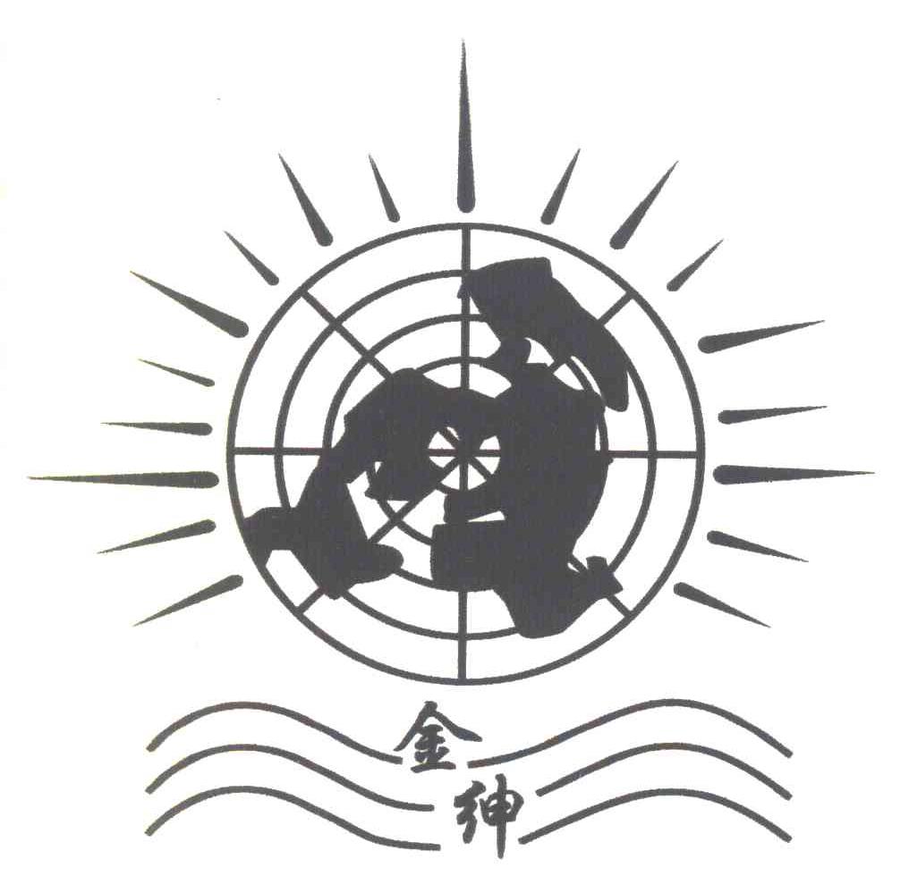 金绅