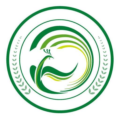 图形