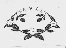 花莉安莉花