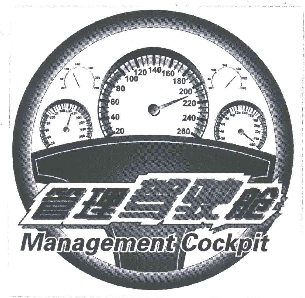 管理驾驶舱;MANAGEMENT COCKPIT