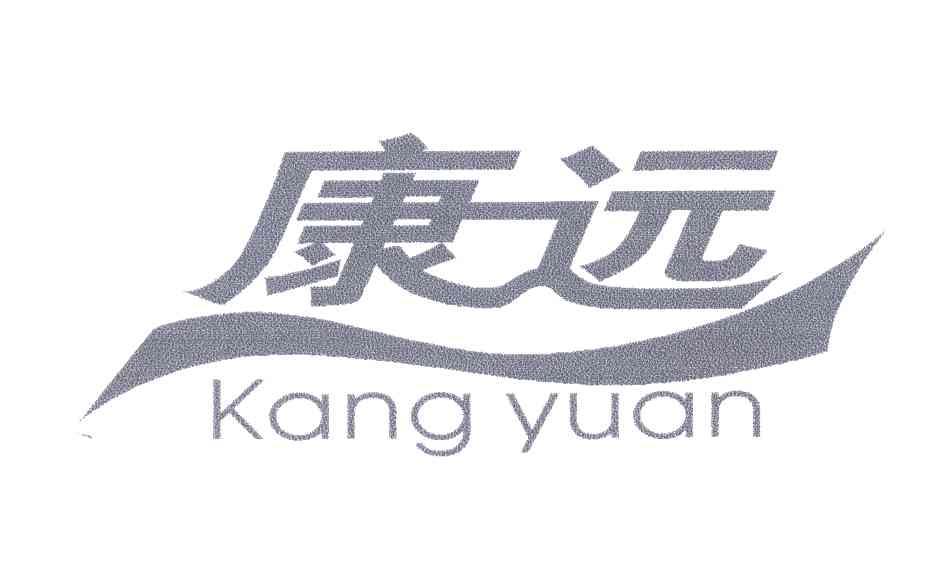 康远;KANG YUAN