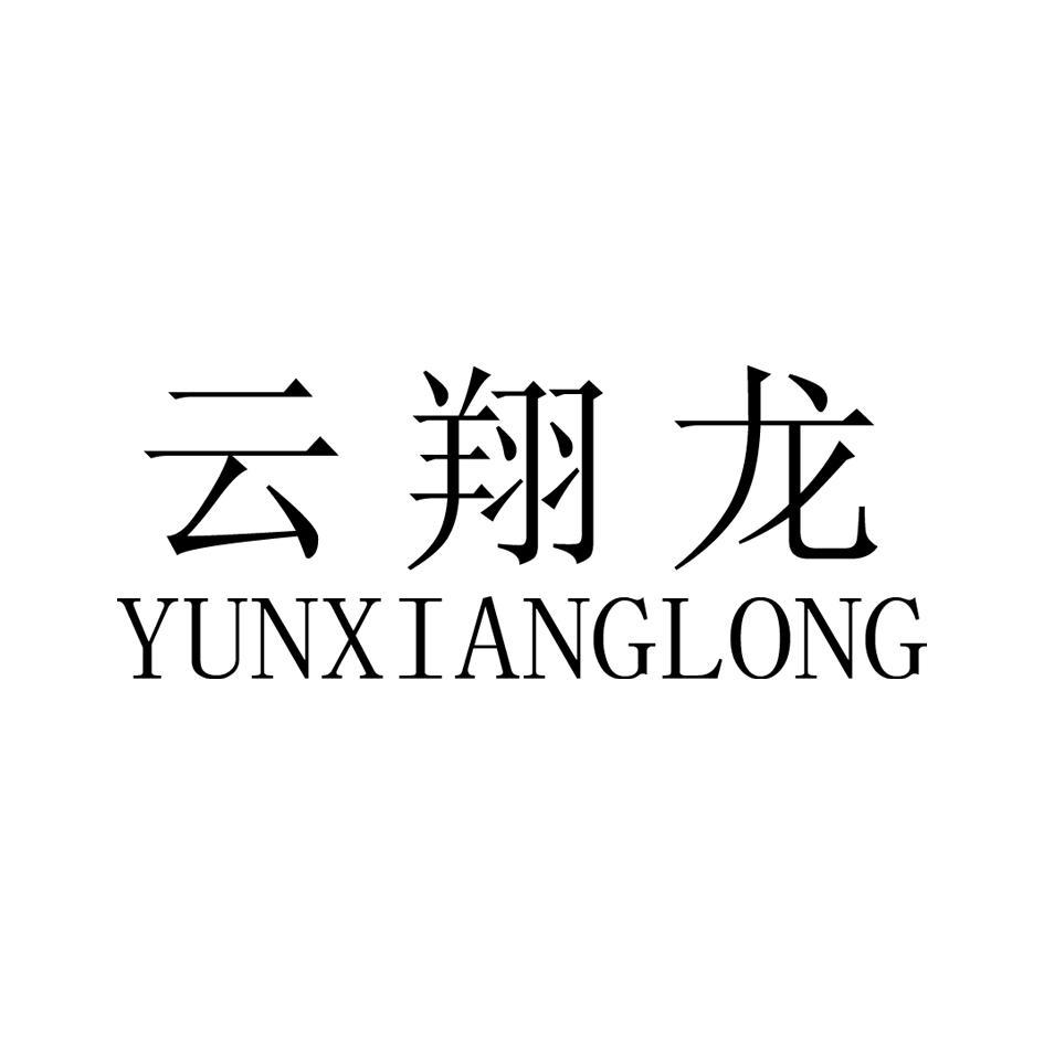 云翔龙
