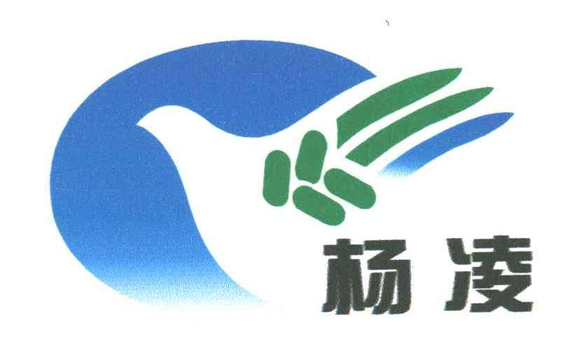 杨凌