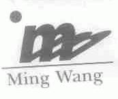 MING WANG