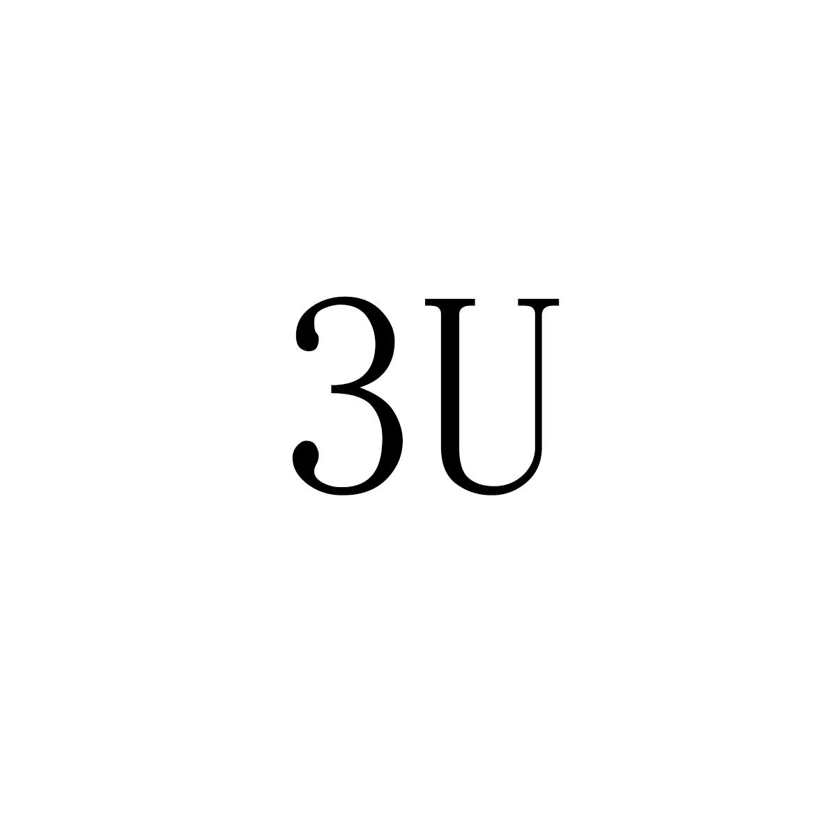 3U