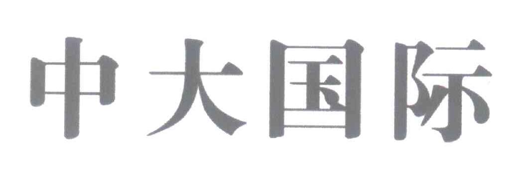 中大国际