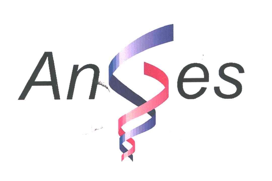 ANES