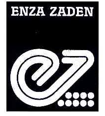 ENZA ZADEN