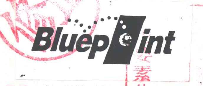 BLUEPLINT;BLUEP INT;L
