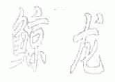 鲸龙