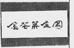 金芒果