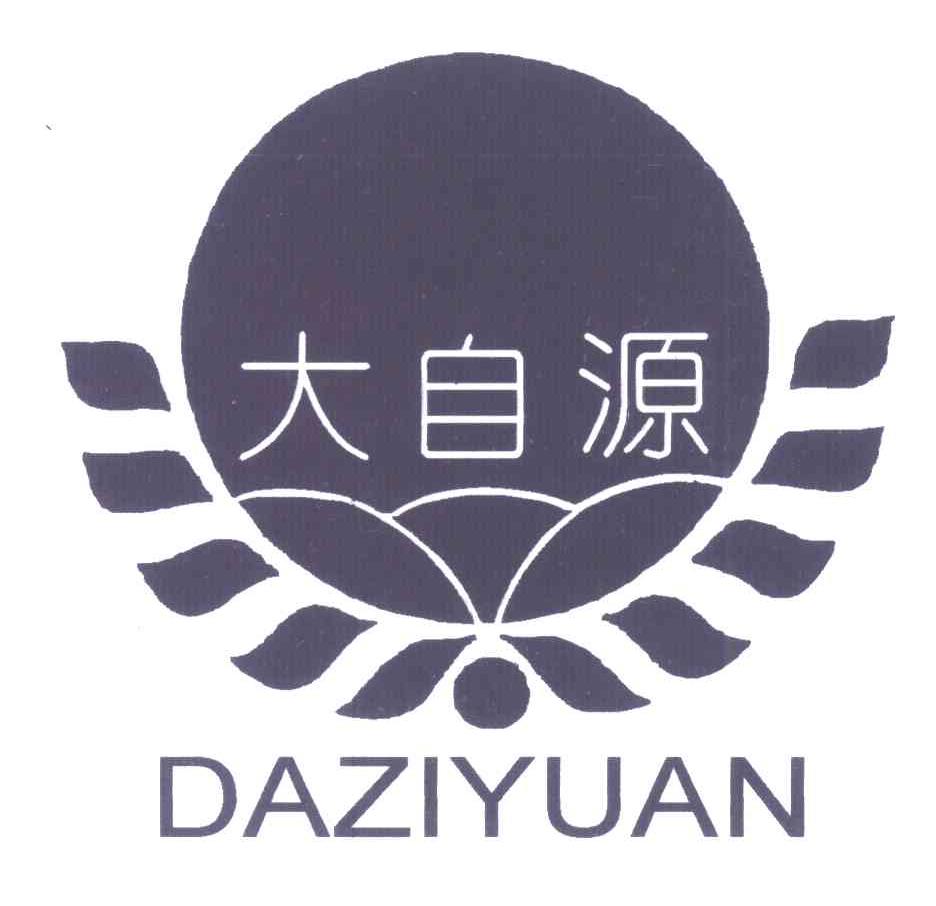 大自源