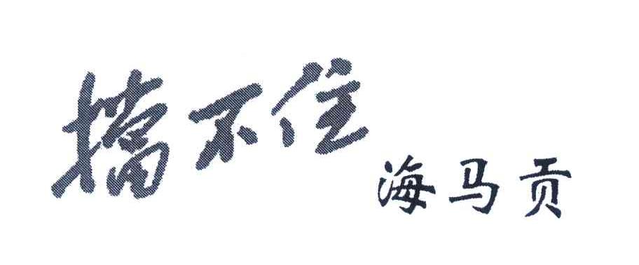 挡不住海马贡
