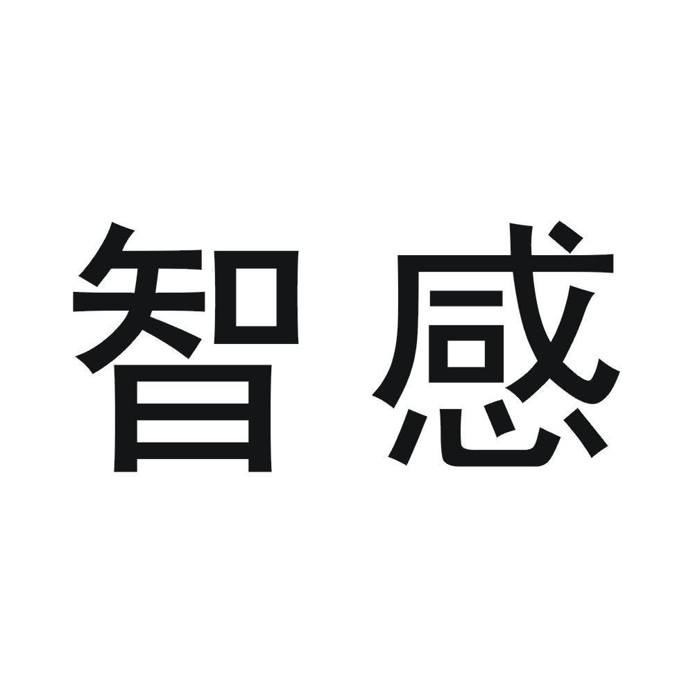 智感