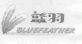 蓝羽;BLUE FEATHER