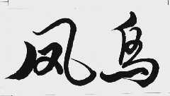 凤鸟
