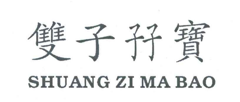 双子孖宝