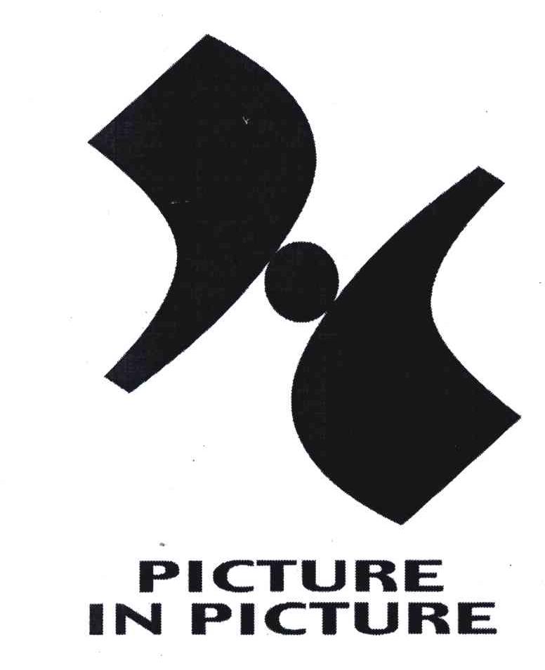 PICTURE IN PICTURE