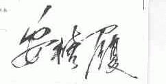 安禧履