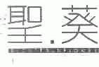 圣葵;SECRET SUNFLOWER
