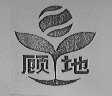 顾地