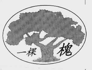 一棵槐