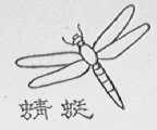 蜻蜓