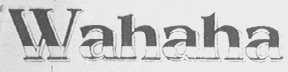 WA HA HA